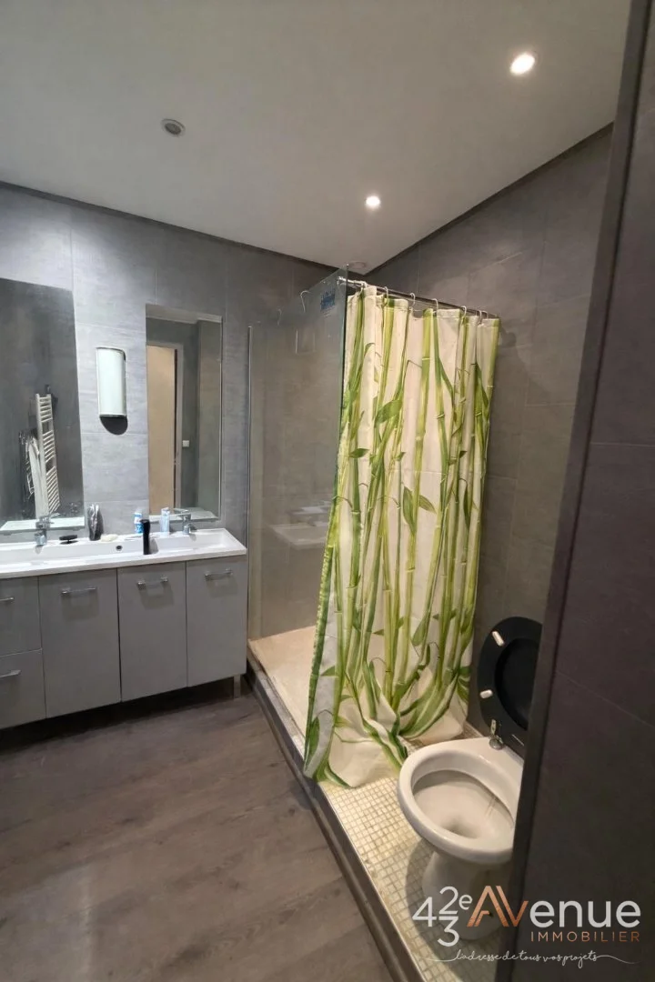 Appartement 2 pièces à Saint-Étienne, photo 8 sur 12