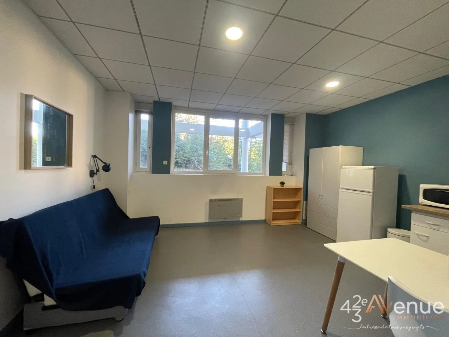Appartement 2 pièces à Saint-Étienne, photo 4 sur 9