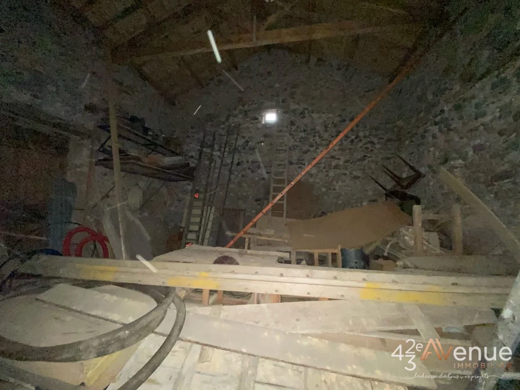 Maison 7 pièces à Roche-en-Régnier, photo 7 sur 8