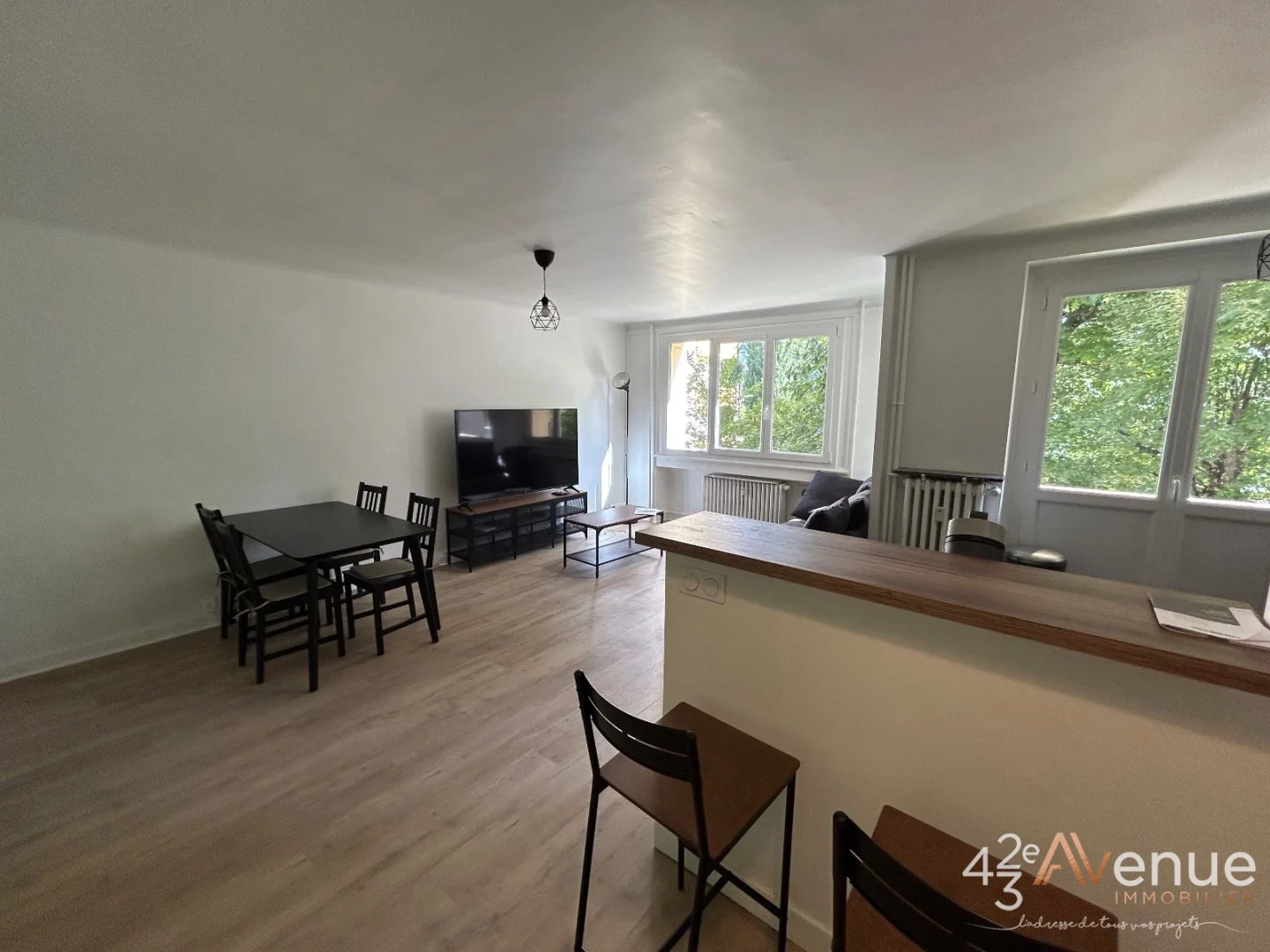 Appartement 4 pièces à Saint-Étienne, photo 4 sur 8