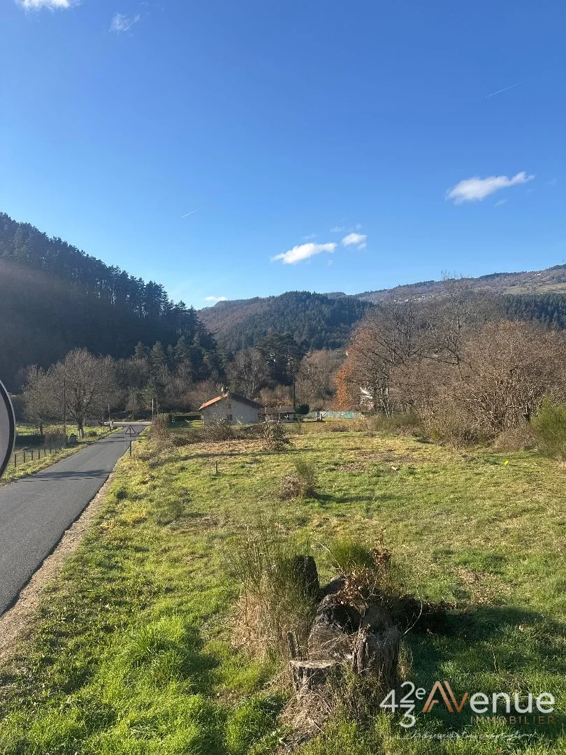 Terrain à Saint-Maurice-de-Lignon, photo 3 sur 6